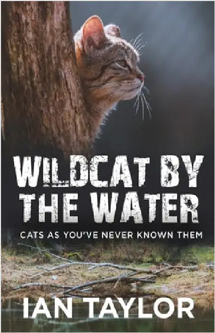 Wildcat By The Water: Cats As You've Never Known Them by Taylor, Ian