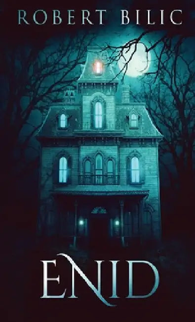 Enid: A Ghost Story by Robert Bilic