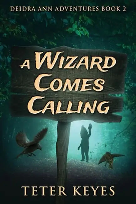 A Wizard Comes Calling by Teter Keyes