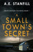 A Small Town's Secret by A. E. Stanfill