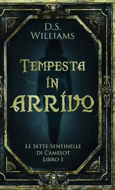 Tempesta in arrivo by D. S. Williams