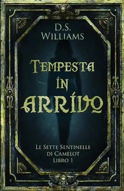 Tempesta in arrivo by D. S. Williams