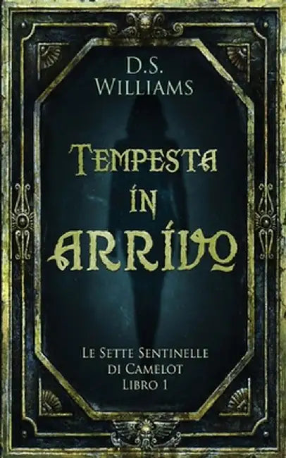 Tempesta in arrivo by D. S. Williams