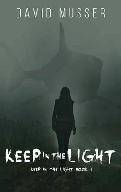Keep In The Light by David Musser
