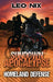 Homeland Defense by Leo Nix
