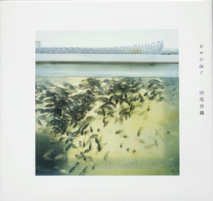 Swimming on the Building by Saori Tao