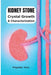 Crystal Growth and Characterization of Kidney Stone by Priyanka Vora
