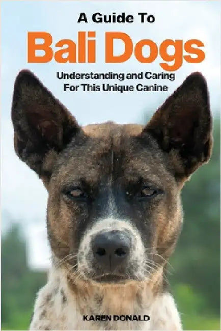A Guide to Bali Dogs: Understanding and Caring For This Unique Canine by Donald, Karen