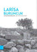 Larisa Buruncuk: Mimari Arastirmalari - Architectural Survey by Turgut Saner