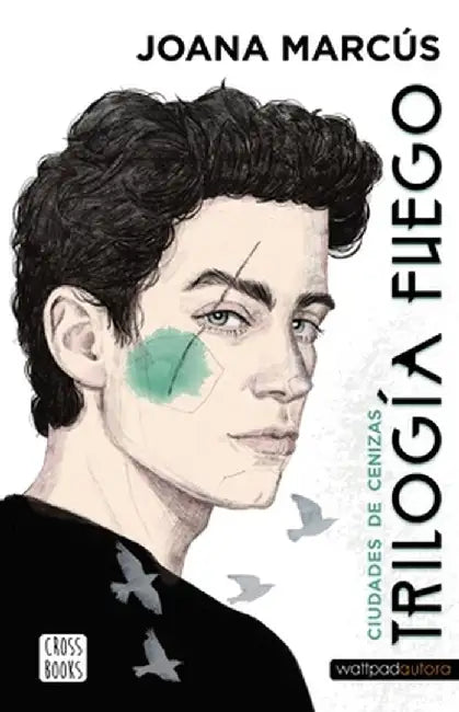 Trilogía Fuego 2. Ciudades de Cenizas by Joana Marcús