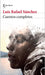 Cuentos Completos / The Complete Short Stories by Sánchez, Luis Rafael