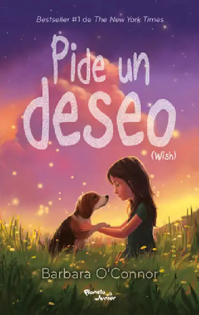 Pide Un Deseo / Wish by Barbara O'Connor, Beatriz Díaz Corona J., Hugo López Araiza Bravo