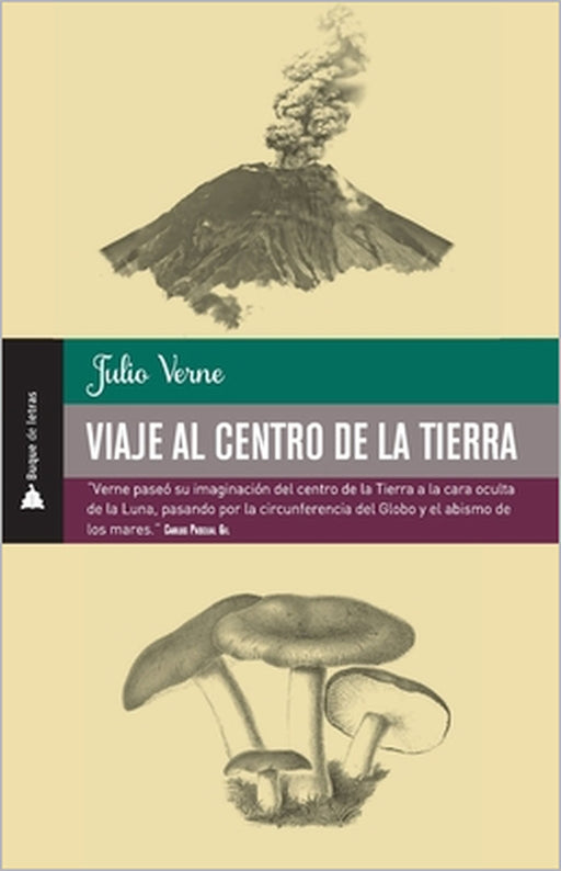 Viaje al centro de la tierra by Julio Verne
