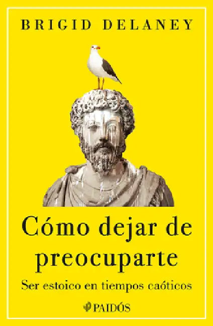 Cómo Dejar de Preocuparte: Ser Estoico En Tiempos Caóticos / Reasons Not to Worry by Brigid Delaney