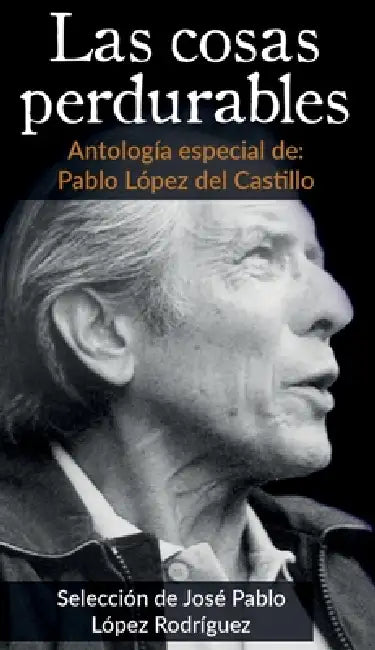 Las cosas perdurables by José Pablo López del Castillo