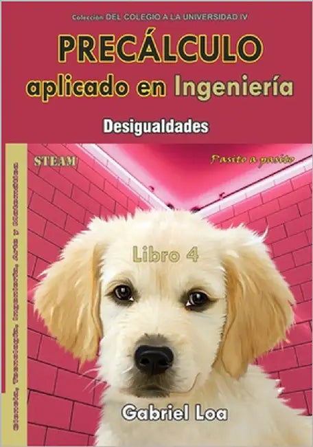Precálculo-Libro 4: Desigualdades by Loa, Gabriel