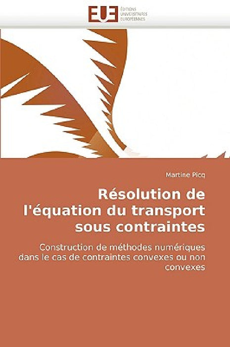 Résolution de l''équation Du Transport Sous Contraintes by Picq-M