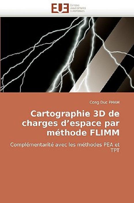 Cartographie 3D de Charges d''espace Par Méthode Flimm by Duc Pham-C