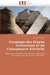 Couplage Des Etapes d''inversion Et de Changement d''echelle by Schaaf-T
