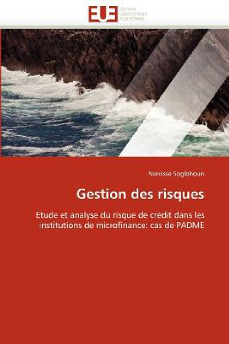 Gestion Des Risques by Soglohoun-N