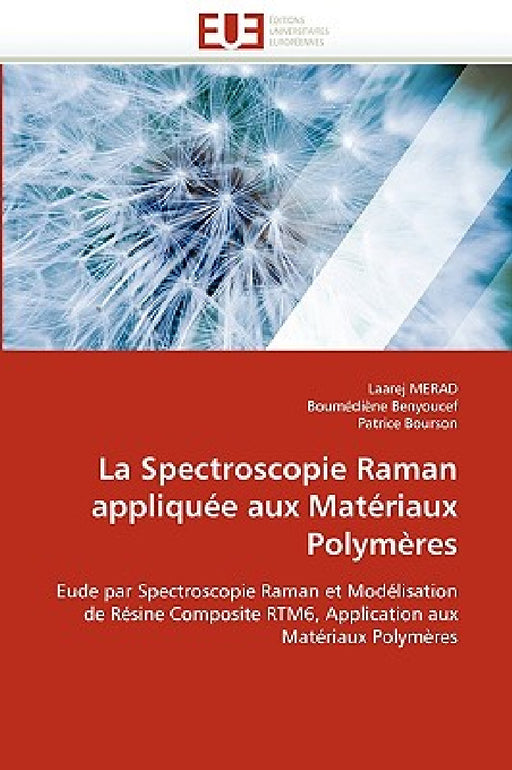 La Spectroscopie Raman Appliquée Aux Matériaux Polymères by Collectif