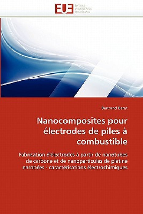 Nanocomposites pour électrodes de piles à combustible by Baret-B