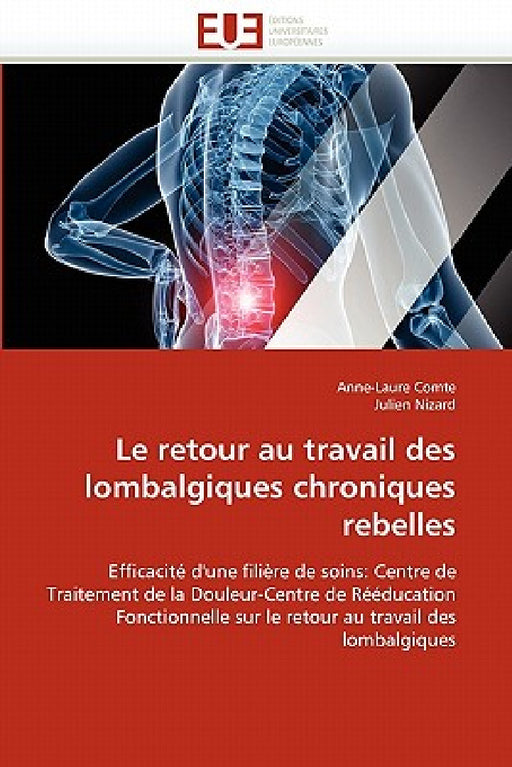 Le Retour Au Travail Des Lombalgiques Chroniques Rebelles by Collectif