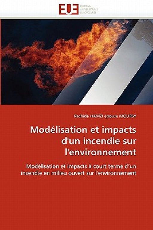 Modélisation Et Impacts d''un Incendie Sur l''environnement by Hamzi Epouse Moursy-R