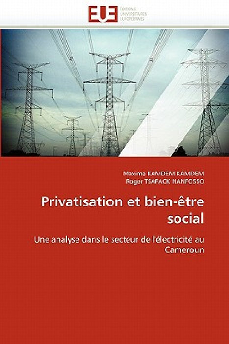 Privatisation et bien-être social by Collectif