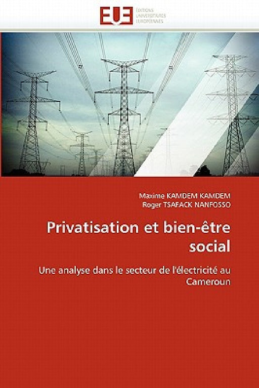 Privatisation et bien-être social by Collectif