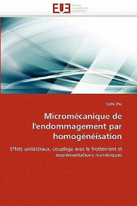 Micromécanique de l''endommagement Par Homogénéisation by Zhu-Q