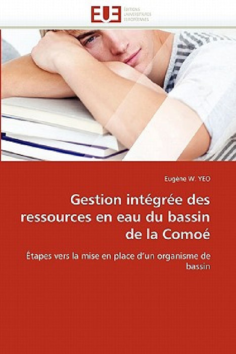 Gestion Intégrée Des Ressources En Eau Du Bassin de la Comoé by W. Yeo-E