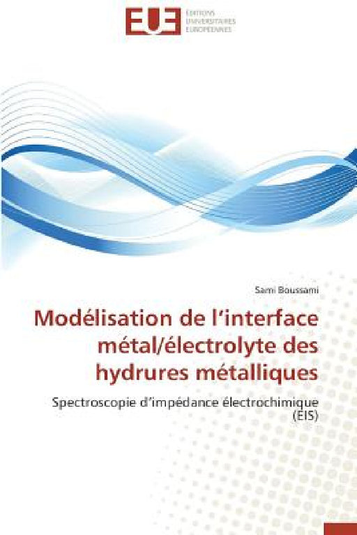Modélisation de L Interface Métal/Électrolyte Des Hydrures Métalliques by Boussami-S