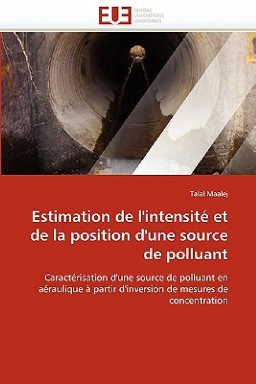 Estimation de l'intensité et de la position d'une source de polluant by Maalej-T