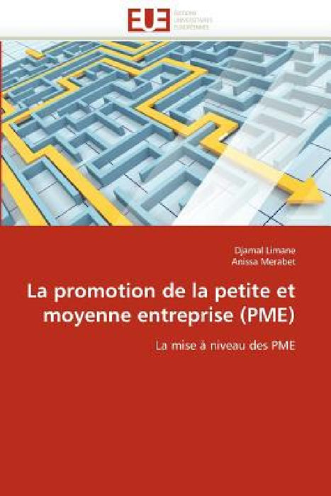 La Promotion de la Petite Et Moyenne Entreprise (Pme) by Collectif