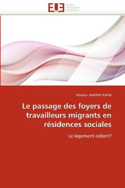Le Passage Des Foyers de Travailleurs Migrants En Résidences Sociales by Kante-K