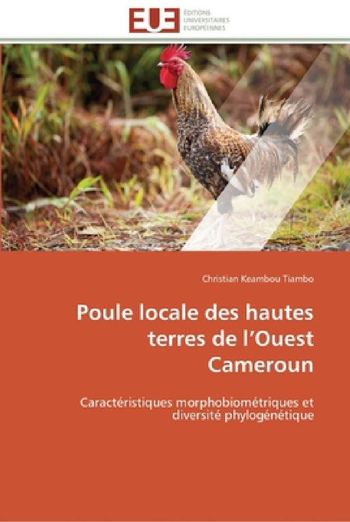 Poule locale des hautes terres de l ouest cameroun by Tiambo-C