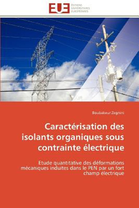 Caractérisation des isolants organiques sous contrainte électrique by Zegnini-B