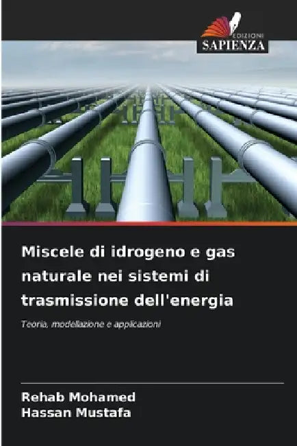 Miscele di idrogeno e gas naturale nei sistemi di trasmissione dell'energia by Rehab Mohamed, Hassan Mustafa