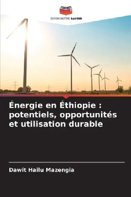 Énergie en Éthiopie: potentiels, opportunités et utilisation durable by Dawit Hailu Mazengia
