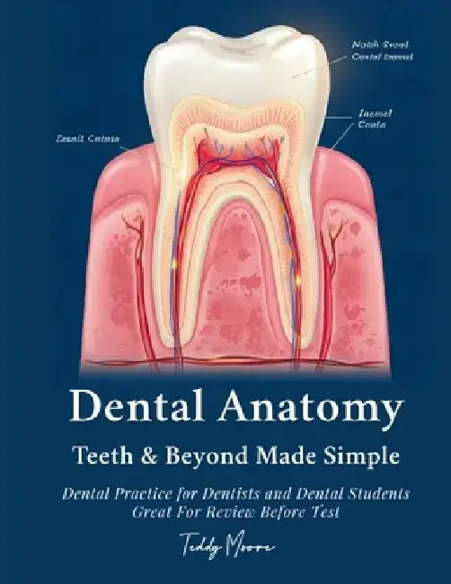 Dental Anatomy Teeth & Beyond Made Simple: Dental Practice for Dentists and Dental Students Great For Review Before Test by Teddy Moore
