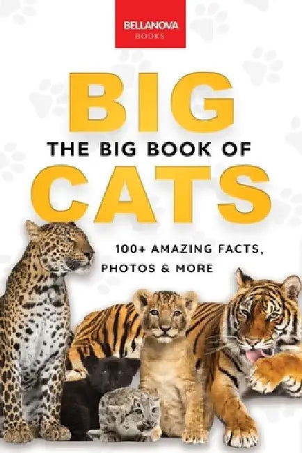 The Big Book of Big Cats: 100+ Amazing Facts About Lions, Tigers, Leopards, Snow Leopards & Jaguars by Jenny Kellett