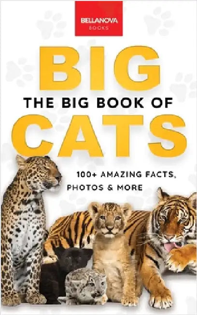 The Big Book of Big Cats: Big Cat Facts: 100+ Amazing Facts About Lions, Tigers, Leopards, Snow Leopards & Jaguars by Kellett, Jenny