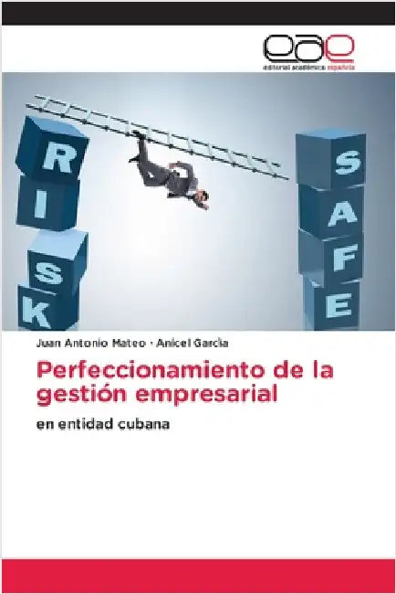 Perfeccionamiento de la gestión empresarial by Juan Antonio Mateo