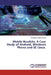 Mobile Rootkits: A Case Study of Android, Windows Phone and SE Linux. by Tertsegha Joseph Anande