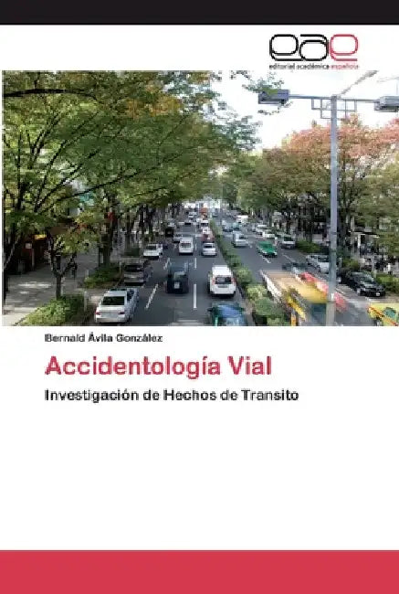Accidentología Vial by Bernald Ávila González