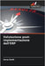 Valutazione post-implementazione dell'ERP by Zottl, Anna