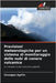 Previsioni meteorologiche per un sistema di monitoraggio delle nubi di cenere vulcanica by Agrillo, Giuseppe