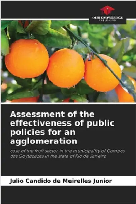 Assessment of the effectiveness of public policies for an agglomeration by de Meirelles Junior, Julio Candido