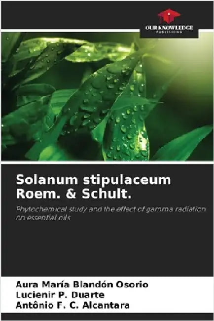 Solanum stipulaceum Roem. & Schult. by Aura María Blandón Osorio